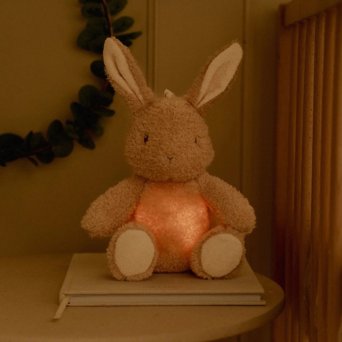 Peluche Coelho com Luz e Som para Bebé | Little Dutch - Image 3